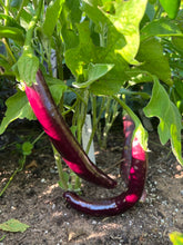 Load image into Gallery viewer, EGGPLANT - Little Fingers