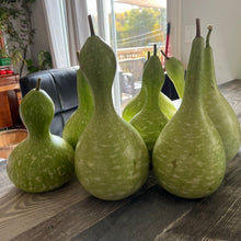 Load image into Gallery viewer, GOURD - Birdhouse