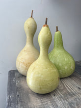 Load image into Gallery viewer, GOURD - Birdhouse