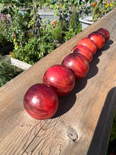 Load image into Gallery viewer, TOMATO - Black Strawberry