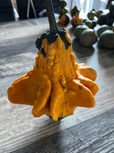 Load image into Gallery viewer, GOURD - Autumn Wings Mix