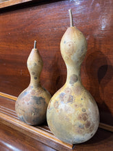 Load image into Gallery viewer, GOURD - Birdhouse