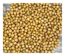 Load image into Gallery viewer, MUSTARD - Dijon