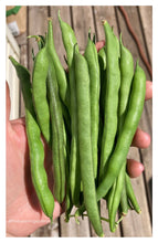 Load image into Gallery viewer, BEAN, POLE - Cherokee Black