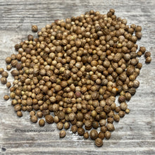 Load image into Gallery viewer, CILANTRO