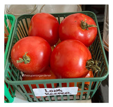 Load image into Gallery viewer, TOMATO - Long Keeper