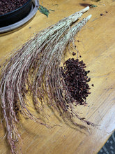 Load image into Gallery viewer, BROOM CORN | Sphorgum
