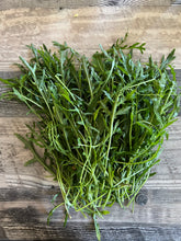 Load image into Gallery viewer, ARUGULA - Wild