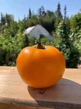 Load image into Gallery viewer, TOMATO - Azoychka
