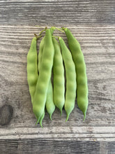 Load image into Gallery viewer, BEAN, POLE - True Red Cranberry