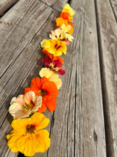 Load image into Gallery viewer, NASTURTIUM - Jewel Mix