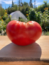 Load image into Gallery viewer, TOMATO - Prudens Purple
