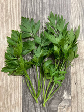 Load image into Gallery viewer, PARSLEY - Single Italian Plain Leaf
