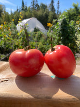 Load image into Gallery viewer, TOMATO - Pink Brandy