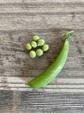 Load image into Gallery viewer, PEA - Snap