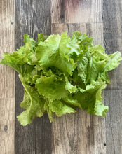 Load image into Gallery viewer, LETTUCE - Iceberg