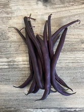 Load image into Gallery viewer, BEAN, BUSH - Royal Burgundy