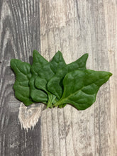 Load image into Gallery viewer, SPINACH - New Zealand