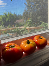 Load image into Gallery viewer, TOMATO - Red Slicer