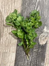 Load image into Gallery viewer, CILANTRO