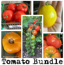 Load image into Gallery viewer, TOMATO BUNDLE