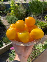 Load image into Gallery viewer, TOMATO - Lemon