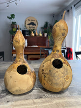 Load image into Gallery viewer, GOURD - Birdhouse