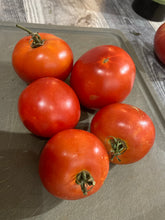 Load image into Gallery viewer, TOMATO - Sub-Arctic Plenty