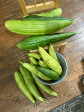 Load image into Gallery viewer, GOURD - LUFFA