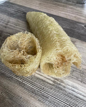 Load image into Gallery viewer, GOURD - LUFFA