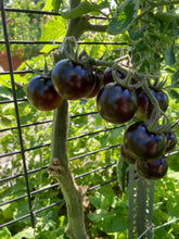 Load image into Gallery viewer, TOMATO - Dancing With Smurfs