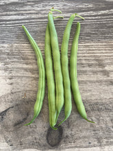Load image into Gallery viewer, BEAN, BUSH - Landreth Stringless