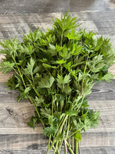 Load image into Gallery viewer, MOTHERWORT

