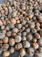 Load image into Gallery viewer, CHUFA NUT
