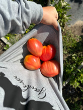 Load image into Gallery viewer, TOMATO - Hungarian Heart
