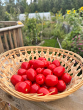 Load image into Gallery viewer, TOMATO - Gardener's Sweetheart

