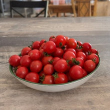 Load image into Gallery viewer, TOMATO - Whippersnapper
