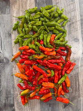 Load image into Gallery viewer, PEPPER (HOT) - Shishito
