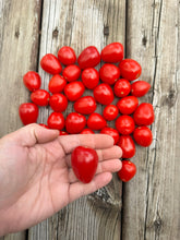 Load image into Gallery viewer, TOMATO - Gardener's Sweetheart
