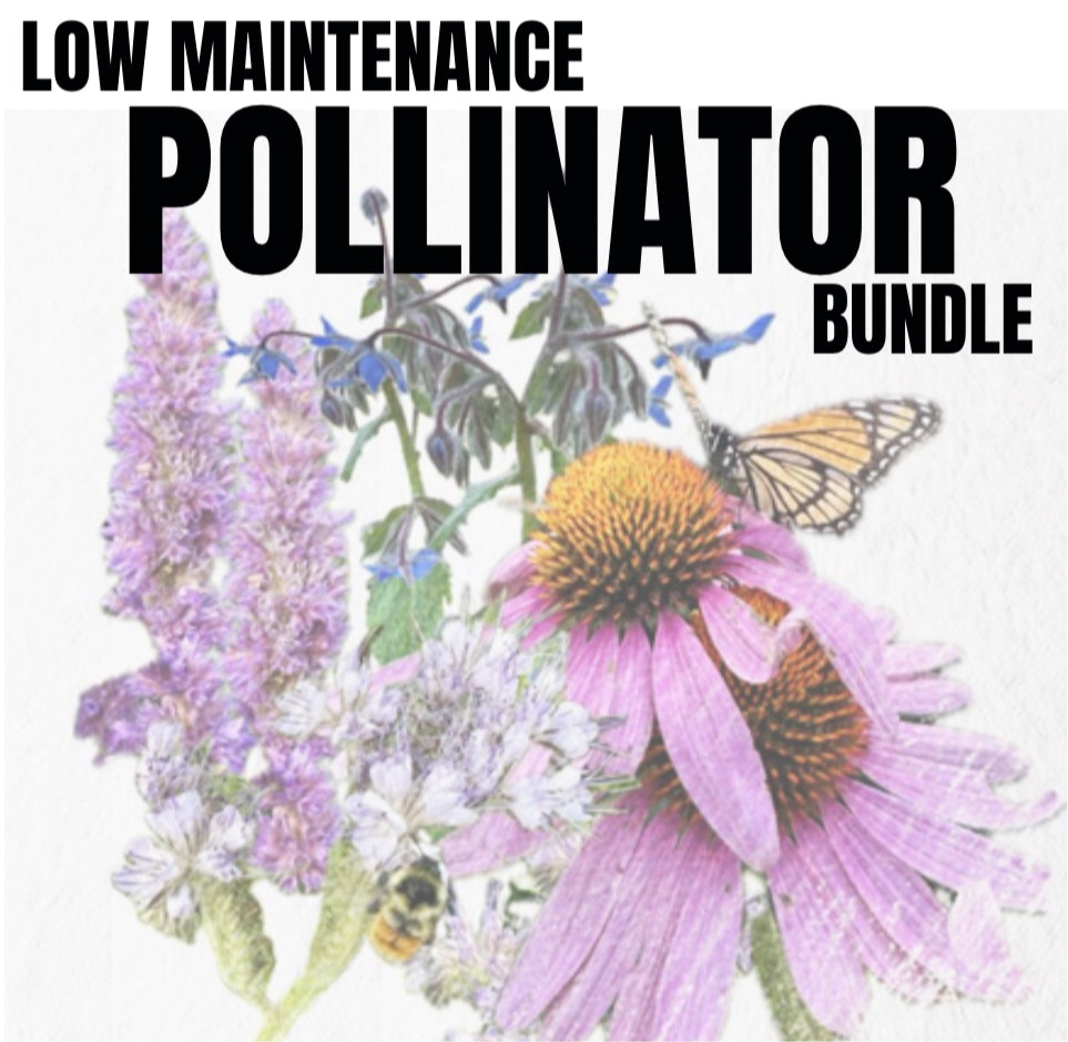 LOW-MAINTENANCE POLLINATOR BUNDLE