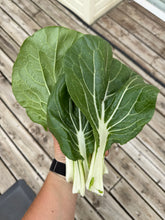 Load image into Gallery viewer, BOK CHOY - White Stem
