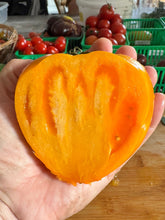 Load image into Gallery viewer, TOMATO - Orange Strawberry
