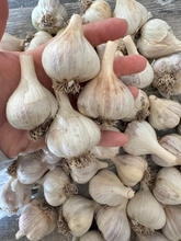 Load image into Gallery viewer, GARLIC
