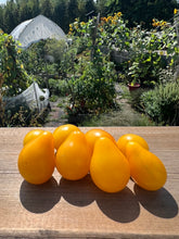 Load image into Gallery viewer, TOMATO - Yellow Pear
