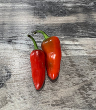 Load image into Gallery viewer, PEPPER (HOT) - Nono&#39;s Heirloom
