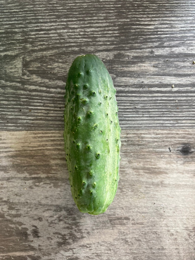 CUCUMBER - Morden Early