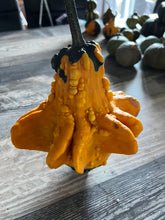 Load image into Gallery viewer, GOURD - Autumn Wings Mix
