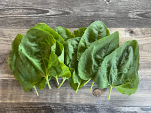 Load image into Gallery viewer, SPINACH - Large Leaf
