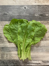 Load image into Gallery viewer, LETTUCE - Romaine

