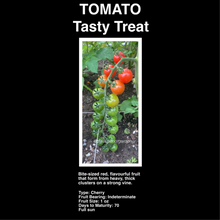 Load image into Gallery viewer, TOMATO BUNDLE
